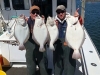 Montauk Fluke Fishing