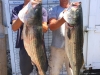 Weejack Charters Montauk NY Fishing 14
